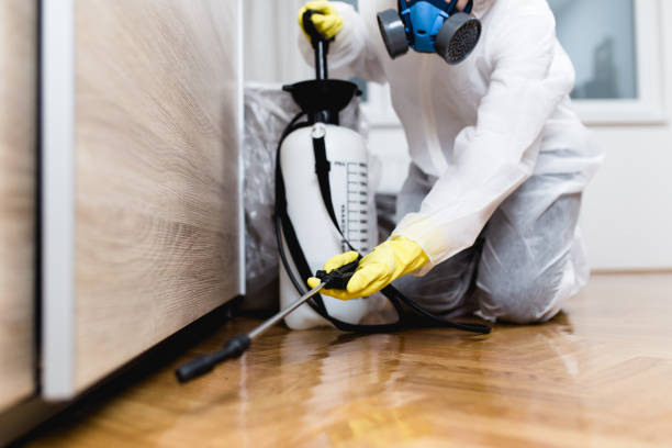 Best Rat Extermination Near Me  in Saugatuck, CT
