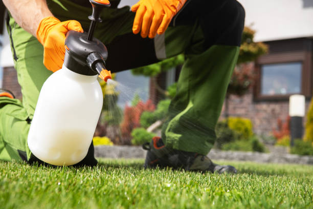 Best Pest Control Near Me  in Saugatuck, CT