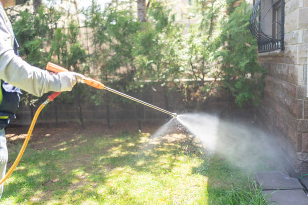 Best Local Pest Control Services  in Saugatuck, CT