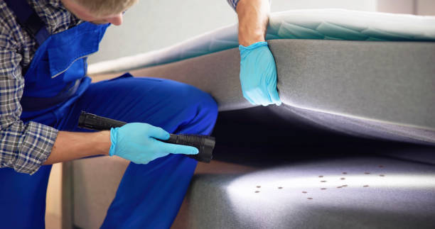 Best Mosquito Control Services  in Saugatuck, CT